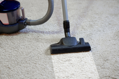 How Often Should I Disinfect Office Carpet? 
