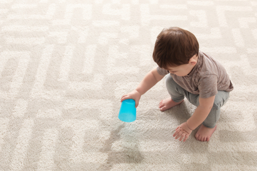 Child Involvement in Carpet Care