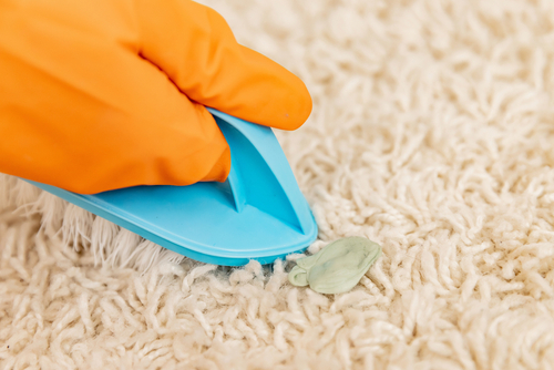 The Don'ts of DIY Carpet Cleaning