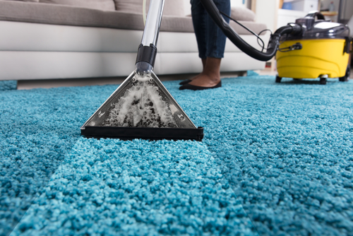 Health Risks of Untreated Water-Damaged Carpets
