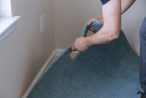 Preventive Measures and Carpet Removal