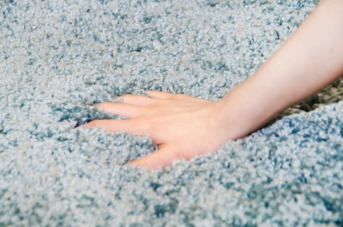 When to Clean vs When to Replace Your Carpet